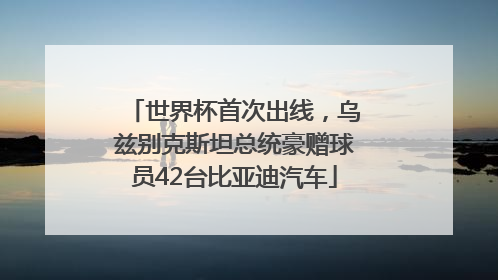 世界杯首次出线，乌兹别克斯坦总统豪赠球员42台比亚迪汽车