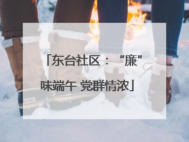 东台社区：“廉”味端午 党群情浓