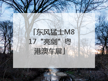 东风猛士M817“亮剑”粤港澳车展