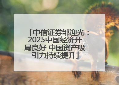中信证券邹迎光：2025中国经济开局良好 中国资产吸引力持续提升