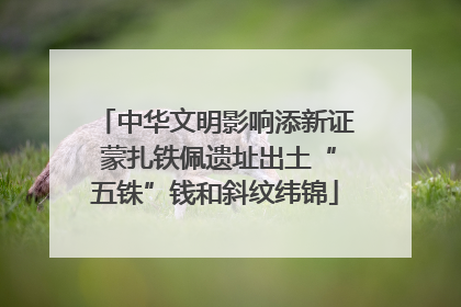 中华文明影响添新证 蒙扎铁佩遗址出土“五铢”钱和斜纹纬锦