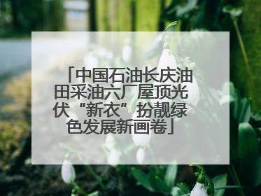 中国石油长庆油田采油六厂屋顶光伏“新衣”扮靓绿色发展新画卷