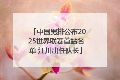 中国男排公布2025世界联赛首站名单 江川出任队长