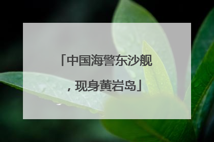 中国海警东沙舰，现身黄岩岛
