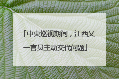 中央巡视期间，江西又一官员主动交代问题