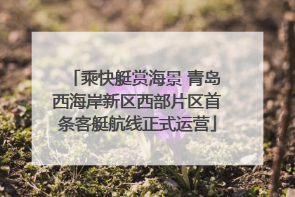 乘快艇赏海景 青岛西海岸新区西部片区首条客艇航线正式运营