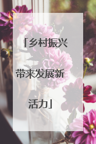 乡村振兴带来发展新活力