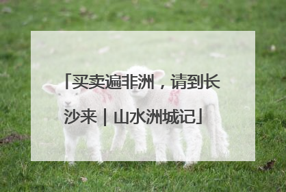 买卖遍非洲，请到长沙来｜山水洲城记