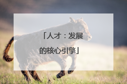 人才：发展的核心引擎
