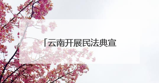 云南开展民法典宣传赋能边疆高质量发展 法治种子在云岭大地生根发芽