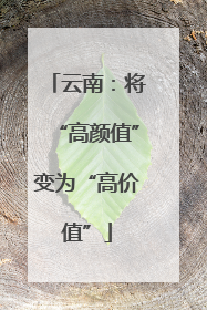 云南：将“高颜值”变为“高价值”