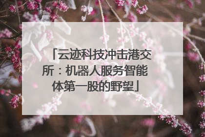 云迹科技冲击港交所：机器人服务智能体第一股的野望