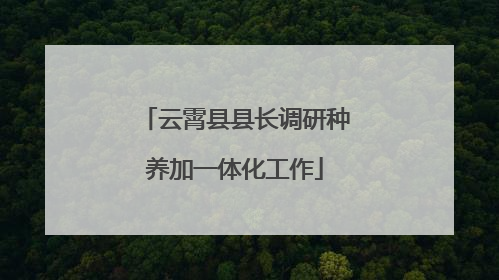 云霄县县长调研种养加一体化工作