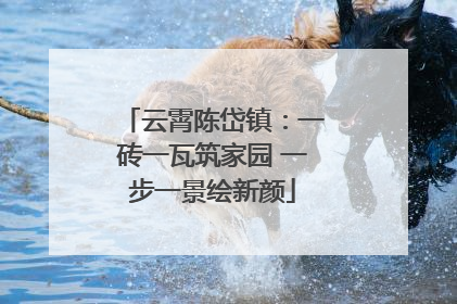 云霄陈岱镇：一砖一瓦筑家园 一步一景绘新颜