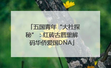 五国青年“大社探秘”：红砖古厝里解码华侨爱国DNA