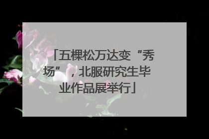 五棵松万达变“秀场”，北服研究生毕业作品展举行