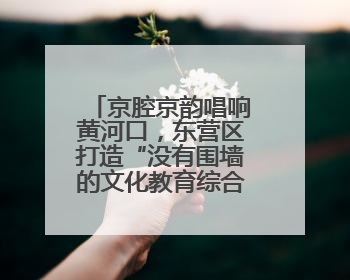 京腔京韵唱响黄河口，东营区打造“没有围墙的文化教育综合体”