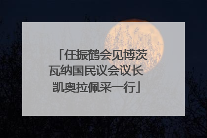 任振鹤会见博茨瓦纳国民议会议长凯奥拉佩采一行