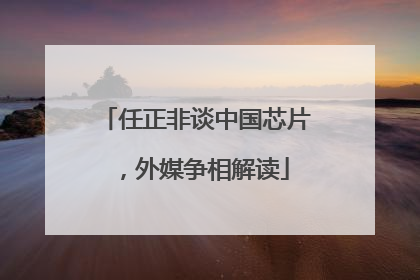 任正非谈中国芯片，外媒争相解读