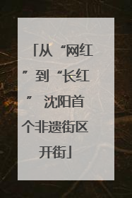 从“网红”到“长红” 沈阳首个非遗街区开街