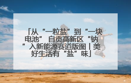 从“一粒盐”到“一块电池” 自贡高新区“钠”入新能源赛道版图丨美好生活有“盐”味