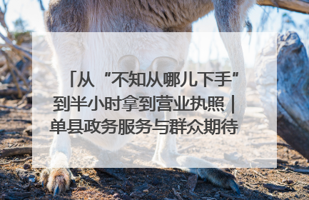 从“不知从哪儿下手”到半小时拿到营业执照｜单县政务服务与群众期待的“双向奔赴”