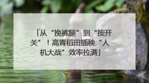 从“挽裤腿”到“按开关”！高青稻田插秧“人机大战”效率拉满