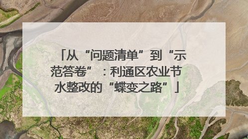 从“问题清单”到“示范答卷”：利通区农业节水整改的“蝶变之路”