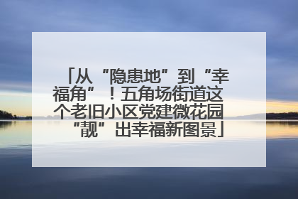 从“隐患地”到“幸福角”！五角场街道这个老旧小区党建微花园“靓”出幸福新图景