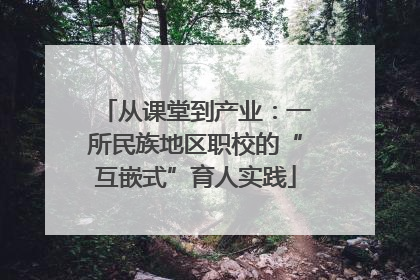 从课堂到产业：一所民族地区职校的“互嵌式”育人实践