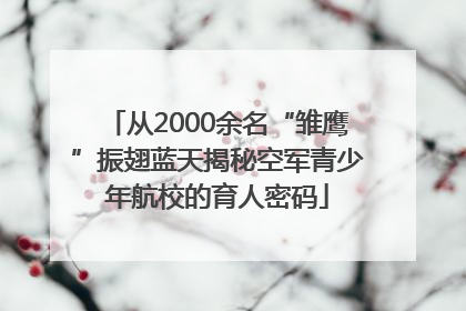 从2000余名“雏鹰”振翅蓝天揭秘空军青少年航校的育人密码