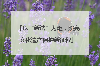 以“新法”为炬，照亮文化遗产保护新征程