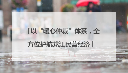以“暖心仲裁”体系，全方位护航龙江民营经济