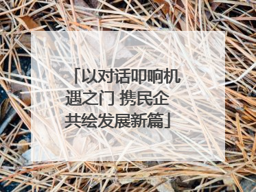 以对话叩响机遇之门 携民企共绘发展新篇