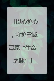以心护心，守护雪域高原“生命之脉”