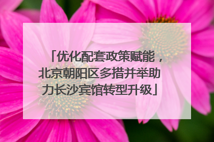 优化配套政策赋能，北京朝阳区多措并举助力长沙宾馆转型升级