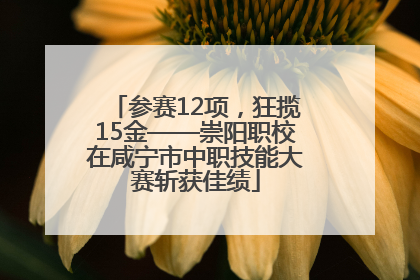 参赛12项，狂揽15金——崇阳职校在咸宁市中职技能大赛斩获佳绩