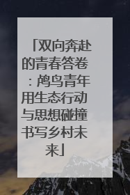 双向奔赴的青春答卷：鸬鸟青年用生态行动与思想碰撞书写乡村未来