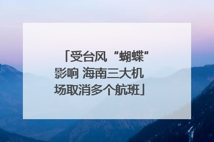 受台风“蝴蝶”影响 海南三大机场取消多个航班