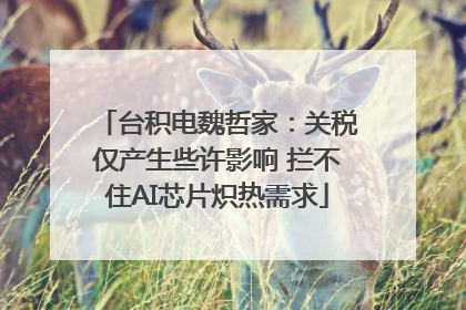 台积电魏哲家：关税仅产生些许影响 拦不住AI芯片炽热需求