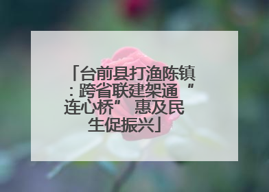 台前县打渔陈镇：跨省联建架通“连心桥” 惠及民生促振兴