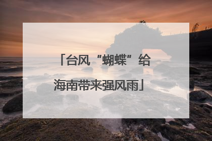 台风“蝴蝶”给海南带来强风雨