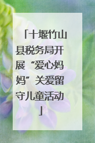 十堰竹山县税务局开展“爱心妈妈”关爱留守儿童活动