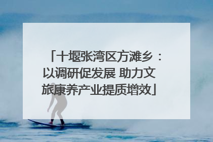 十堰张湾区方滩乡：以调研促发展 助力文旅康养产业提质增效