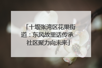 十堰张湾区花果街道：东风故里话传承 社区聚力向未来