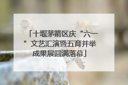 十堰茅箭区庆“六一”文艺汇演暨五育并举成果展圆满落幕