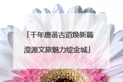 千年唐蕃古道焕新篇 湟源文旅魅力绽金城