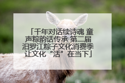千年对话续诗魂 童声粽韵话传承 第二届汨罗江粽子文化消费季让文化“活”在当下