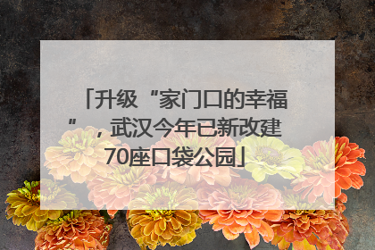 升级“家门口的幸福”，武汉今年已新改建70座口袋公园
