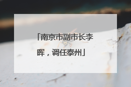 南京市副市长李晖，调任泰州